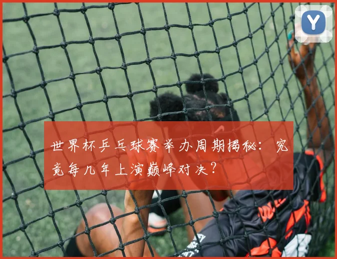 世界杯乒乓球赛举办周期揭秘:究竟每几年上演巅峰对决?